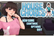 IMG House Chores