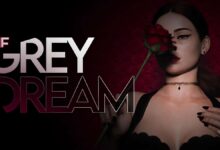 IMG The Grey Dream