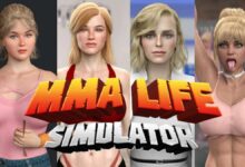 IMG MMA Life Simulator
